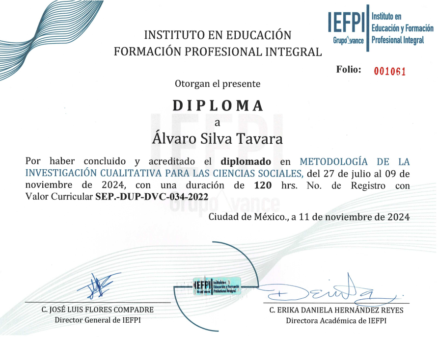 2025-07-28 (2) Investigaci{on cualitativa MEXICO